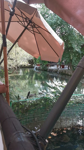 Τα κρύα νερά Ανοιχτές ώρες