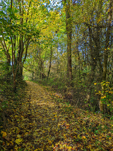 Red River Nature Walk - Thumbnail