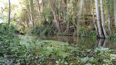 Photos of Parque Oh!