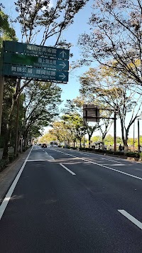 けやき通り