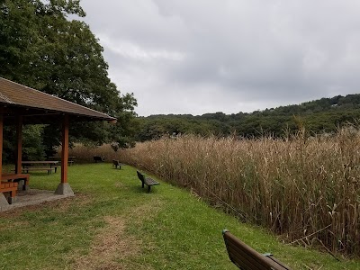 Photos of 一碧湖