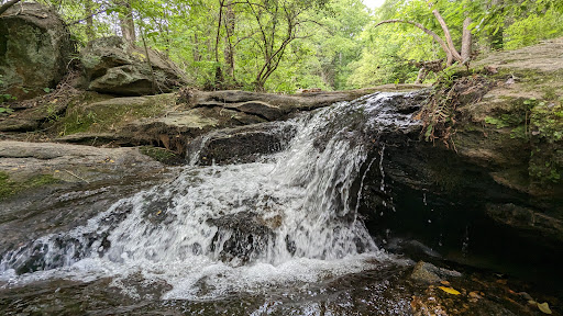 Tyger-10 Nature Park