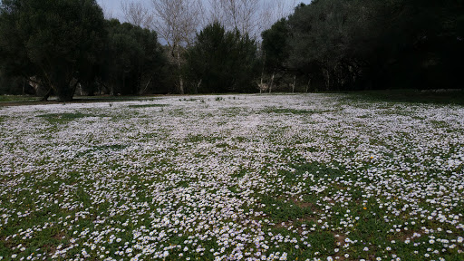 Affinity Petcare S.A. Gallery - Spain