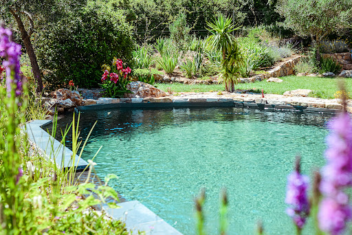 Photo de Gaspard & Marianne Vacances Chic et naturellement Provence à Pignans (83790)