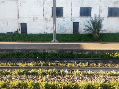Photos of Gare du Caroubier