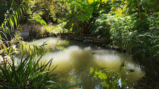 University Botanical Garden - Thumbnail