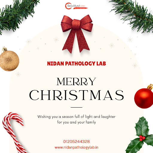 Merry Christmas post image