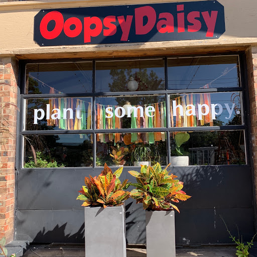 Oopsy Daisy - Visual