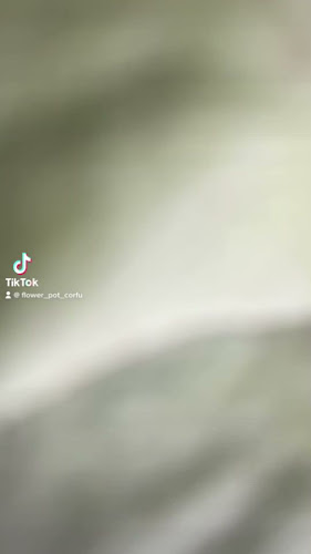 Αξιολογήσεις για το Flower Pot στην Αχίλλειοι - Ανθοπωλείο