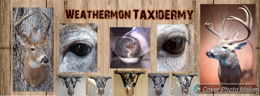 Weathermon Taxidermy