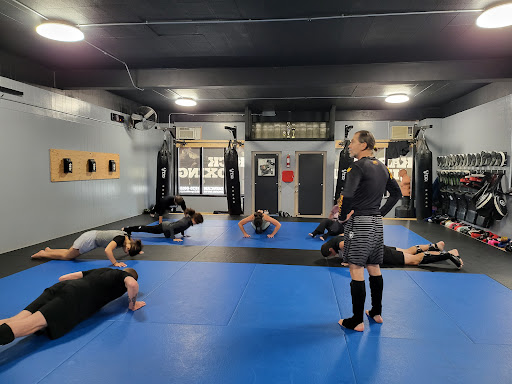 Gorilla Dojo - Visual