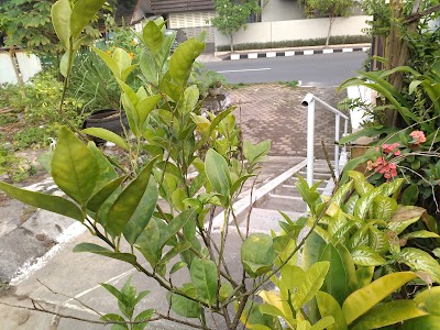 Photos of Taman Bayeman