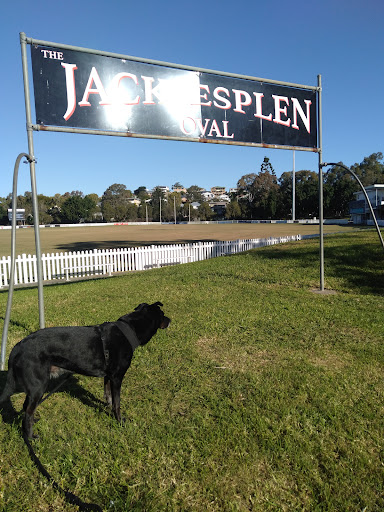 Jack Esplen Oval Gallery - Australia