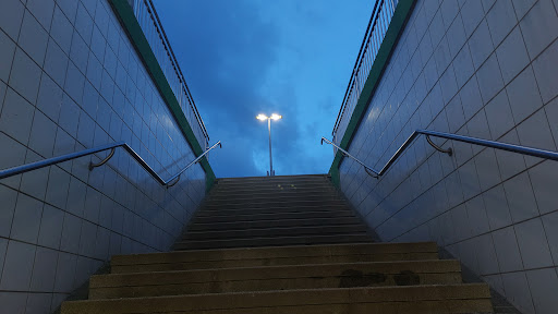 Rollwald - Visual