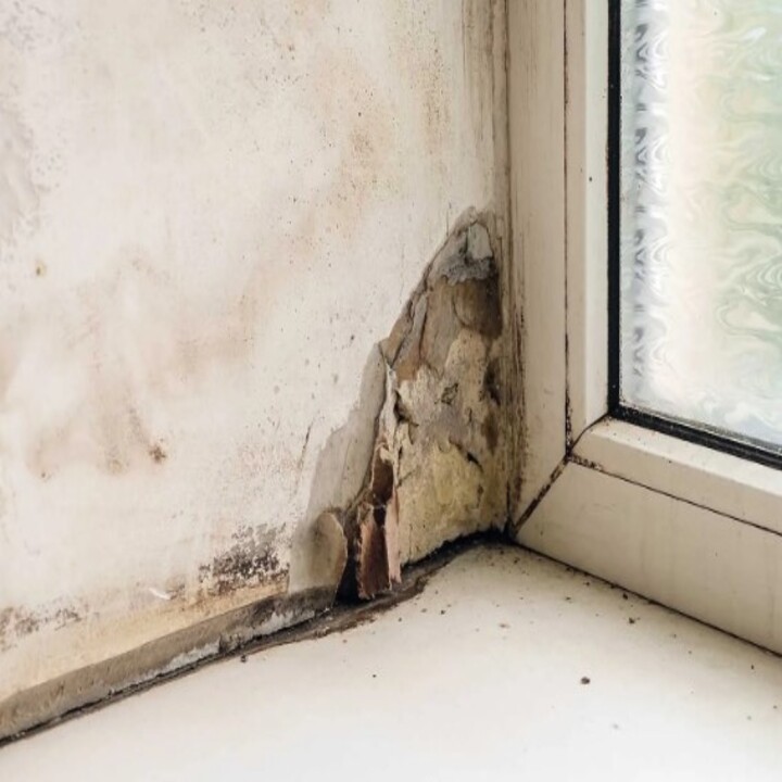 Priority Response and Restoration photo