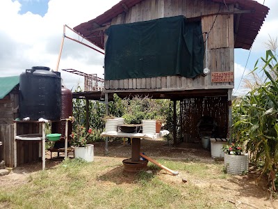 Photos of Store Sector 3 Residential Los Olivos