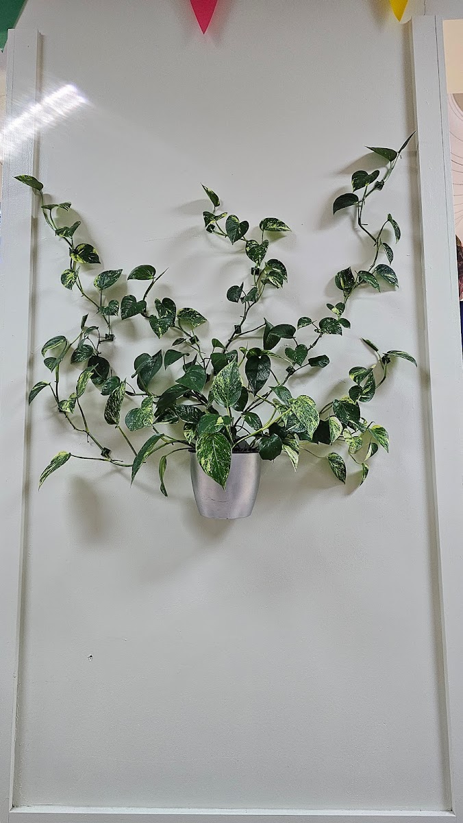 Self-service laundry at Wash Wave Laundromat, Waterbury, CT