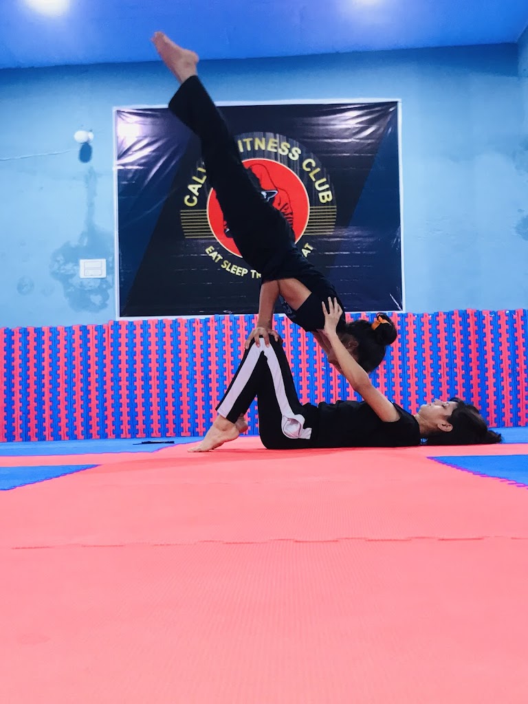 Gym Martial Arts Academy