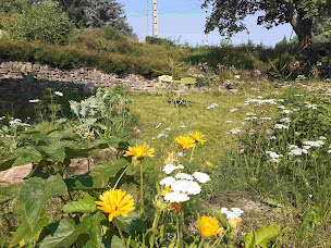 Photo n°13 de Chemin de résilience, chambres d'hôtes séjours nature et bien être à Fouchy (Centre de yoga)