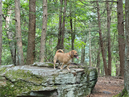 Milford Knob Trailhead - Thumbnail