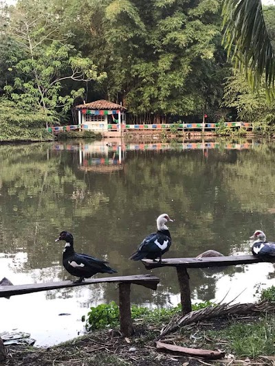 Photos of Granja Omega