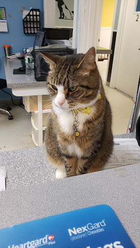 Exeter Veterinary Hospital - Thumbnail