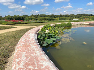 Photo n°1 de Le Jardin d'eau à Lamballe-Armor (Pépinière)