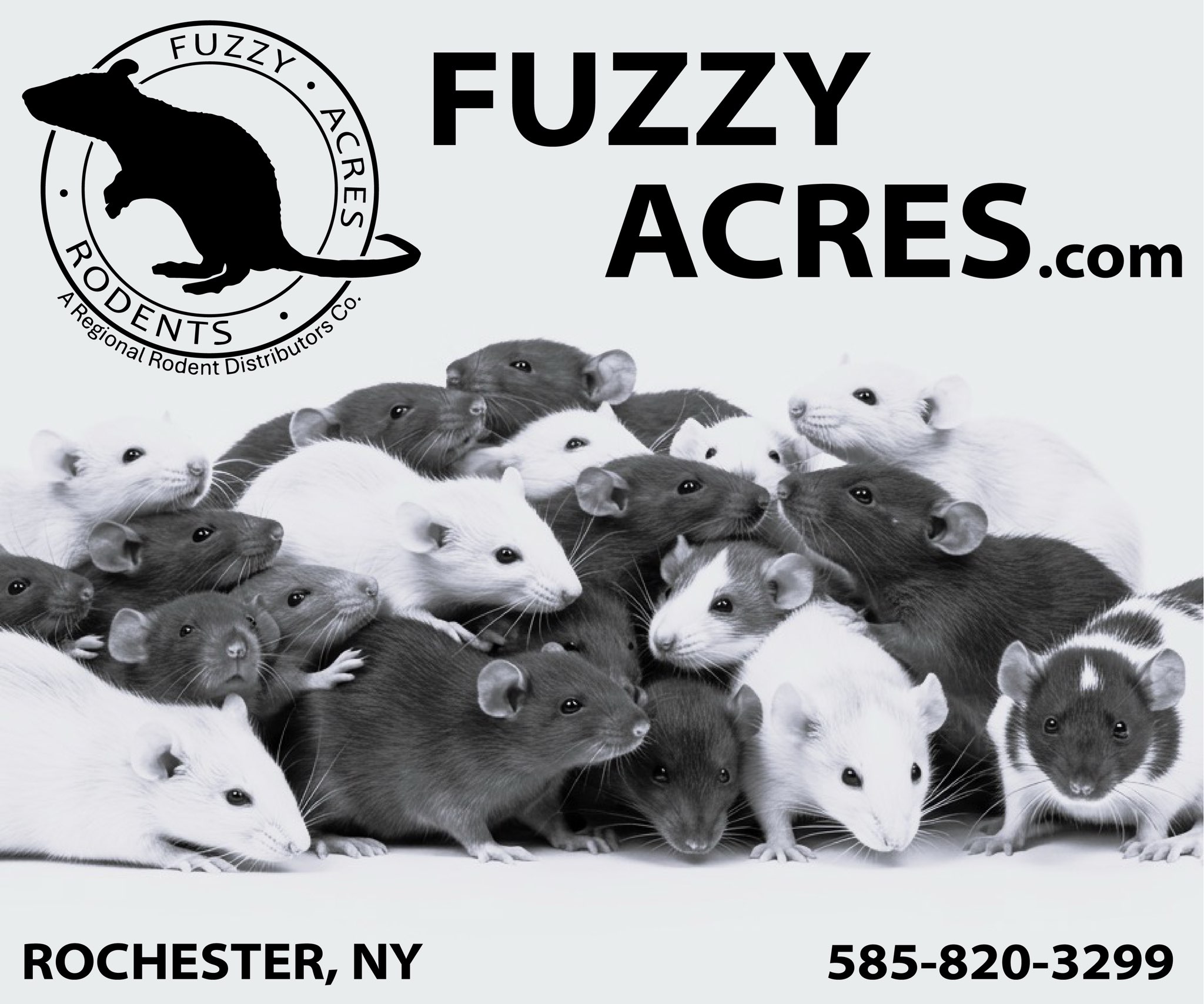 Fuzzy Acres Rodents