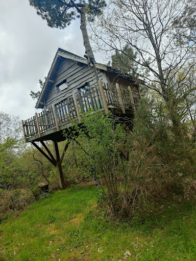 Photo de Vallée de Pratmeur Cabanes dans les arbres à Quistinic (56310)
