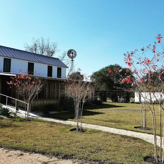 Signor Vineyards