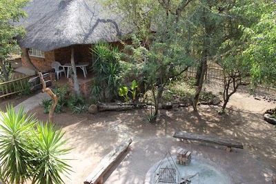 Photos of Bushbaby Lodge