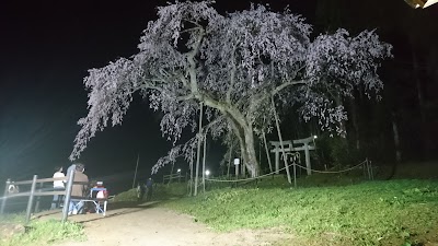 Photos of Mitani Shrine