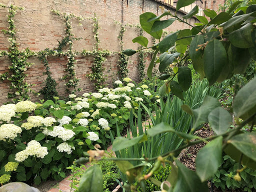 Giardino storico Mons. Giovanni Signani - Thumbnail