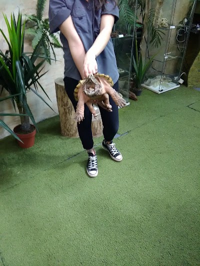 Photos of The National Reptile Zoo
