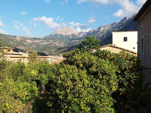 Sóller Spanish Lessons