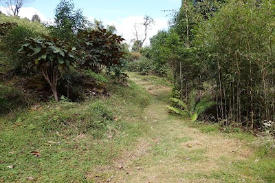 Photos of Royal Botanical Garden