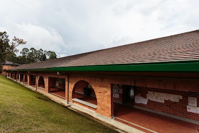 Photos of Columbus School