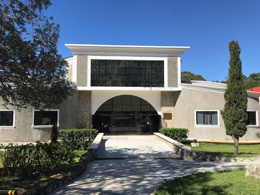 Biblioteca Sara E. Ocampo García