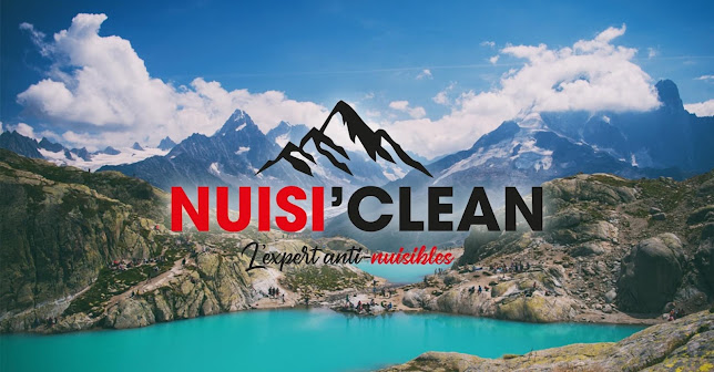 Nuisi'Clean - L'Expert Anti - Nuisibles