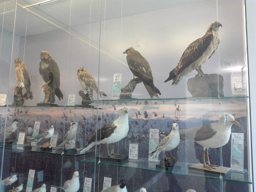 Museo Sisàn Gallery - Italy