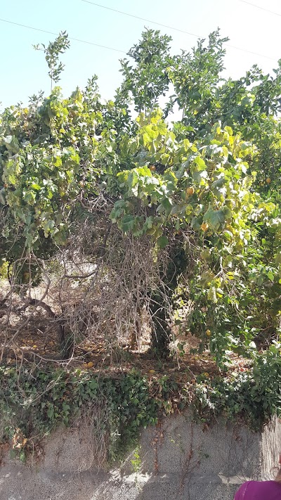 Photos of La Despensa del Valle