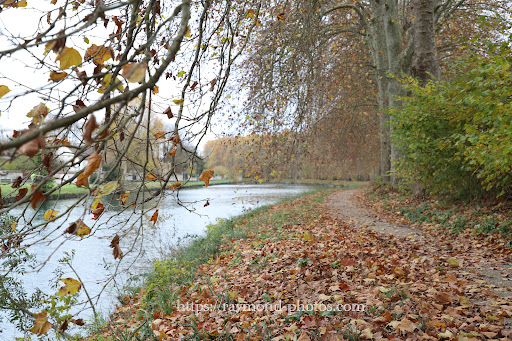 Chemin de halage- Eurovelo 3 - Thumbnail