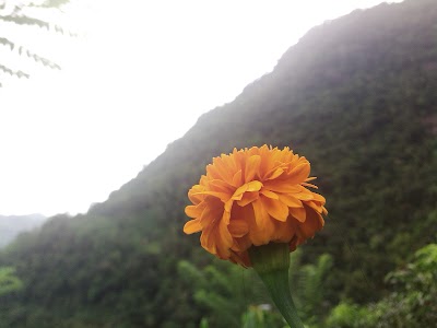 Photos of Mahamevnawa (Erathna)