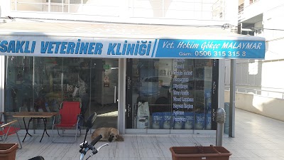 Photos of Sarımsaklı Veteriner Kliniği