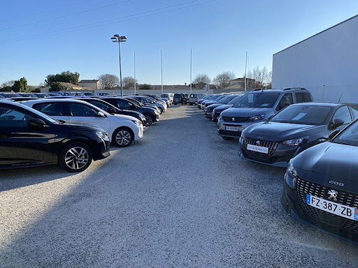 Marius Stanca Auto