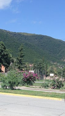 La Iglesia de Jesucristo de Los Santos de los Ultimos Dias, Author: Alberto Velez