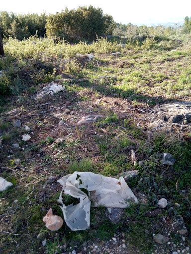 Serretella - Visual