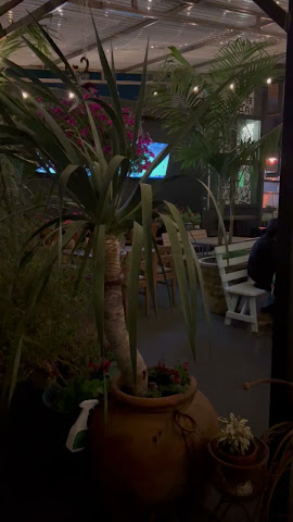 Trophy Wife -Bar - Kitchen - Garden by null