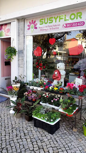 Avaliações doSusyflor em Odivelas - Floricultura