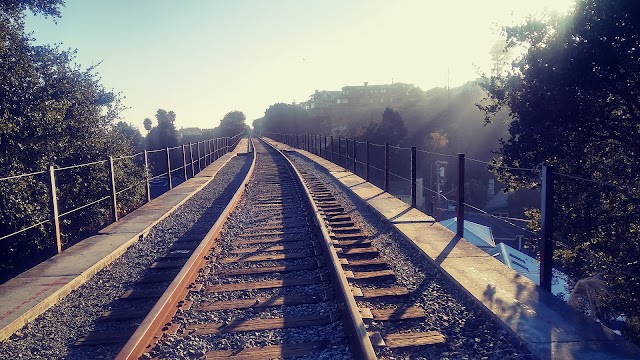 Capitola Beach
